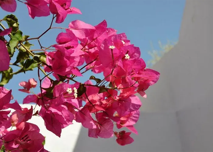 Sea Paradise 호텔 2*