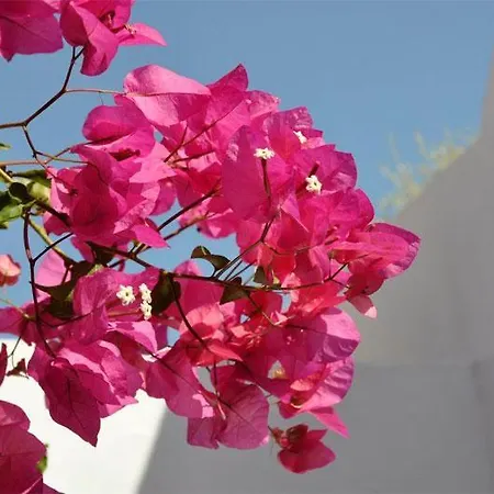 Sea Paradise Hotel 2*