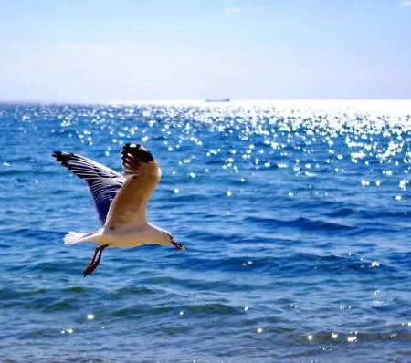 ホテル Sea Paradise